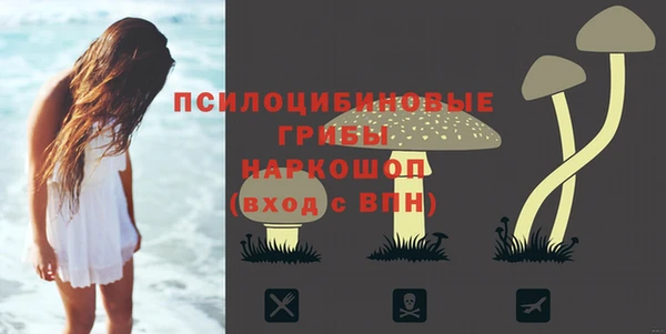 эйфоретик Верея