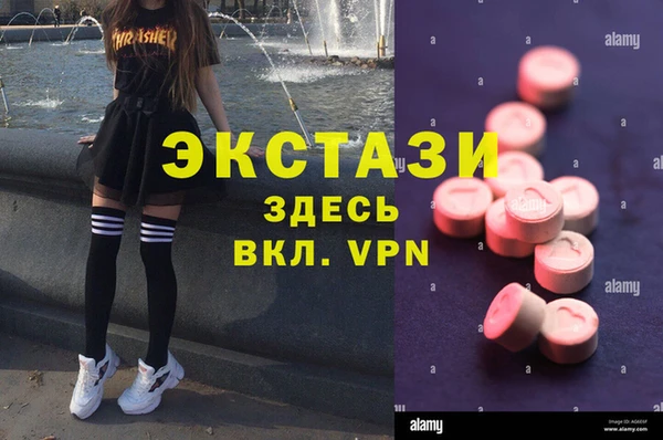 дживик Бородино