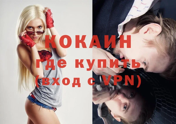 дживик Бородино