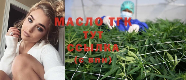 дживик Бородино