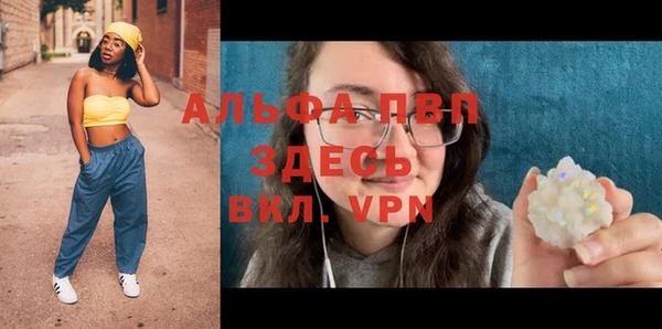 дживик Бородино